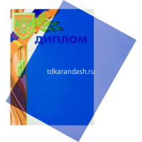 Обложка для переплета 10 листов A4 200мкм пластик синий от магазина "Карандаш"