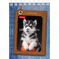 Блокнот А7 40л "Щенки" клетка, на спирали 5 дизайнов 40Б7В1гр от магазина "Карандаш"