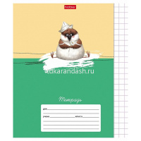 Тетрадь А5 12л крупная клетка "Зоозаврики" на скобе 5 дизайнов 12Т5В8/080074 от магазина "Карандаш"